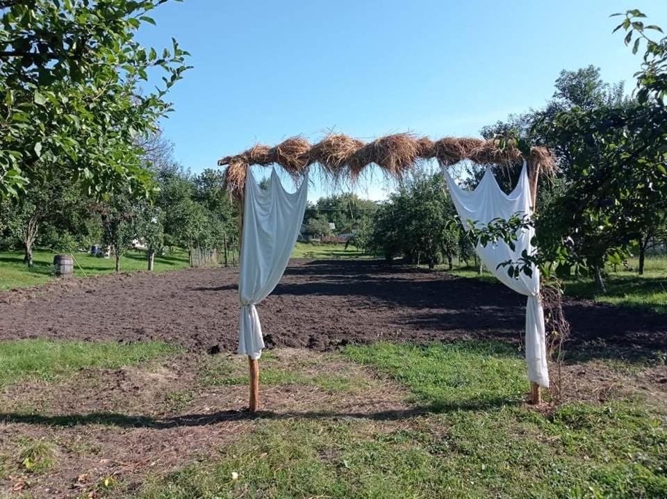 Casa Rurala Cu Livada Lavandra Câmpina Exterior foto